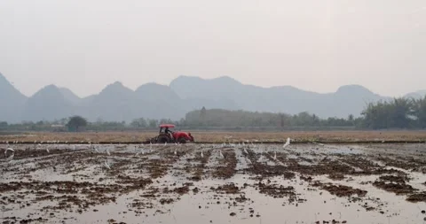 Agricultural thai tractor machine plowing and preparing land for seeding. Stock Footage 246596006