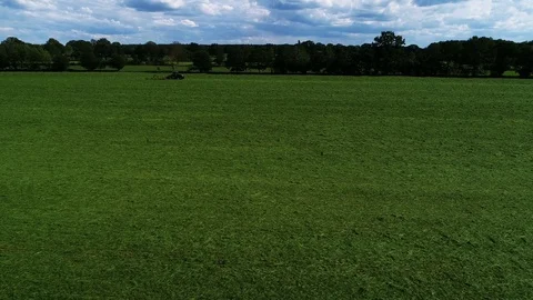 Agricultural tractor returns grass for the haymaking Stock Footage 117530115