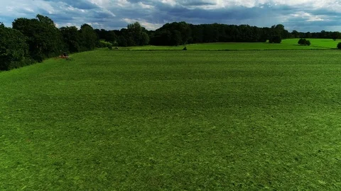 Agricultural tractor returns grass for the haymaking Video stock 117530243