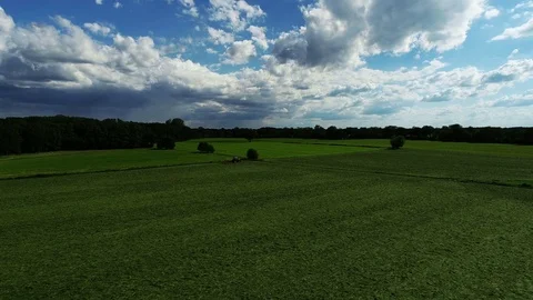 Agricultural tractor returns grass for the haymaking Stock Footage 117530616