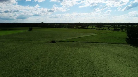 Agricultural tractor returns grass for the haymaking Video stock 117531196