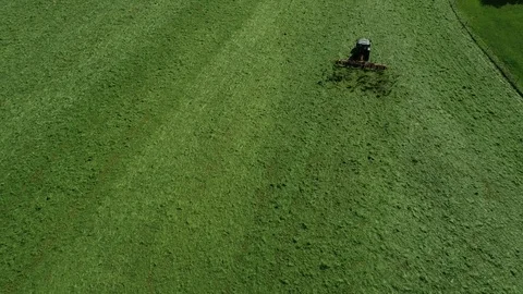 Agricultural tractor returns grass for the haymaking Video stock 117531283