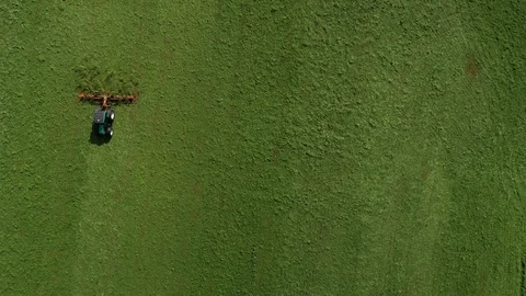 Agricultural tractor returns grass for the haymaking Video stock 117531546