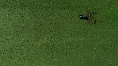 Agricultural tractor returns grass for the haymaking Video stock 117531903