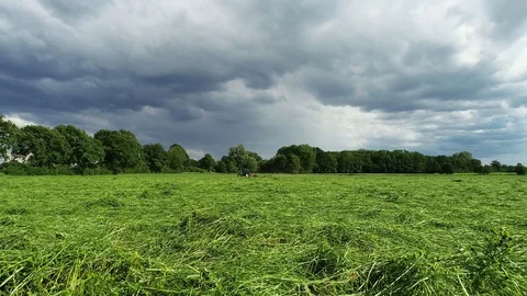 Agricultural tractor returns grass for the haymaking Stock Footage 117532180