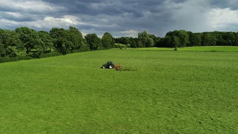 Agricultural tractor returns grass for the haymaking Stock Footage 117532293
