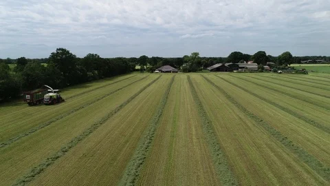 Agricultural tractor returns grass for the haymaking Stock Footage 117533211