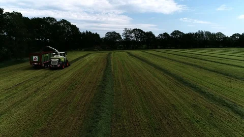 Agricultural tractor returns grass for the haymaking Stock Footage 117620947
