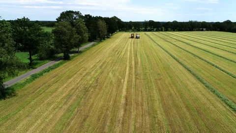 Agricultural tractor returns grass for the haymaking Stock Footage 117620975