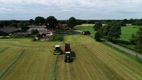 Agricultural tractor returns grass for the haymaking Stock Footage 117620991