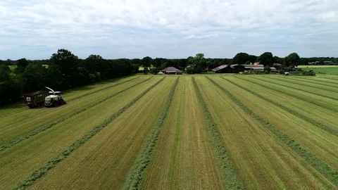 Agricultural tractor returns grass for the haymaking Stock Footage 117621021