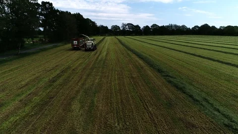 Agricultural tractor returns grass for the haymaking Stock Footage 117621045