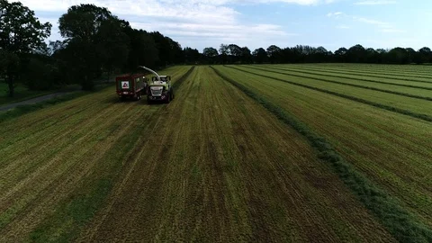 Agricultural tractor returns grass for the haymaking Stock Footage 117621228
