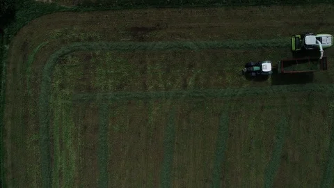 Agricultural tractor returns grass for the haymaking Stock Footage 117621301