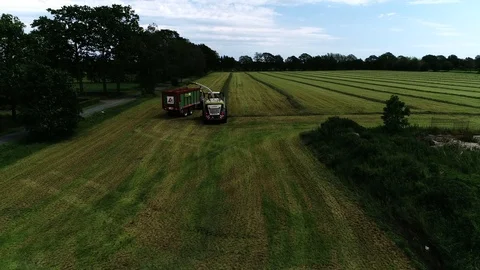 Agricultural tractor returns grass for the haymaking Stock Footage 117621313