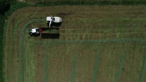 Agricultural tractor returns grass for the haymaking Stock Footage 117621320