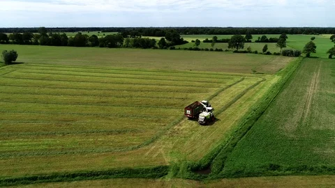 Agricultural tractor returns grass for the haymaking Stock Footage 117621326