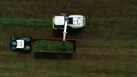 Agricultural tractor returns grass for the haymaking Stock Footage 117621634