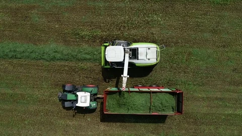 Agricultural tractor returns grass for the haymaking Stock Footage 117621639