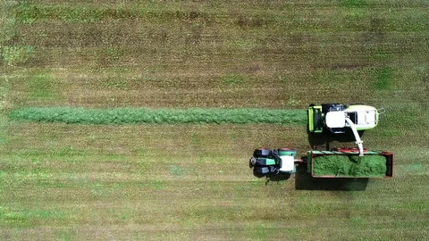 Agricultural tractor returns grass for the haymaking Stock Footage 117621667
