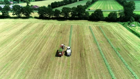 Agricultural tractor returns grass for the haymaking Stock Footage 117621693