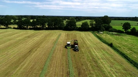 Agricultural tractor returns grass for the haymaking Stock Footage 117621737