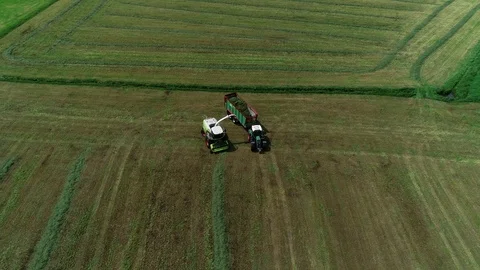 Agricultural tractor returns grass for the haymaking Stock Footage 117621766