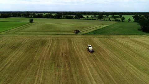 Agricultural tractor returns grass for the haymaking Stock Footage 117621777