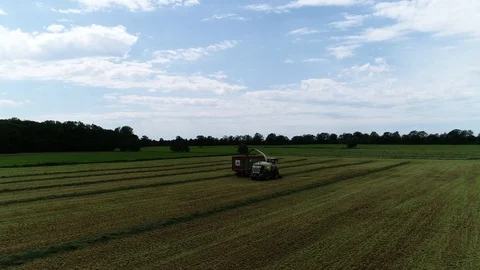 Agricultural tractor returns grass for the haymaking Stock Footage 117621938