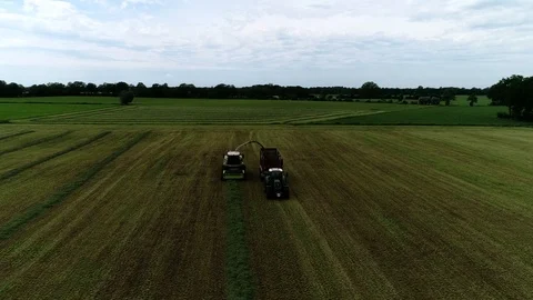 Agricultural tractor returns grass for the haymaking Stock Footage 117621969