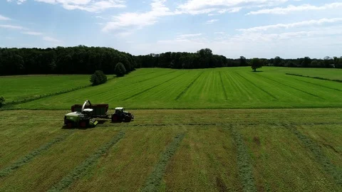 Agricultural tractor returns grass for the haymaking Stock Footage 117621987