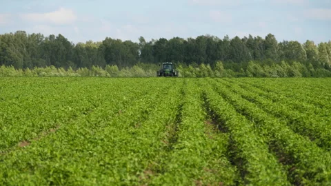 Agricultural tractor working in the field Stock Footage 244828973