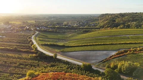 Agricultural Vineyard Fields Aerial View Golden Hour Poland Stock Footage 333475974