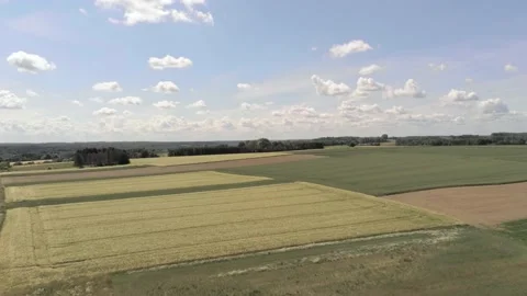 Agricultural vivid patchwork, Bertem, Belgium. Farm land with wild daisies Stock Footage 132912416