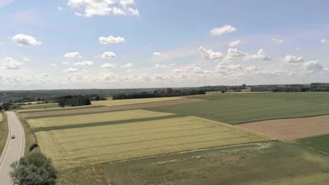 Agricultural vivid patchwork next to local freeway, Bertem, Belgium. Farm Video stock 132912419