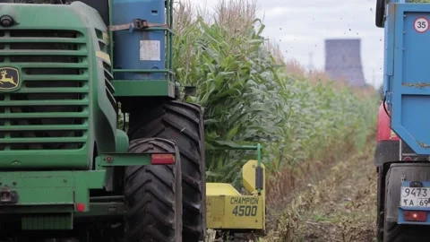 Agricultural work in the corn field Stock Footage 145800466