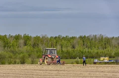Agricultural work in the field in spring. Stock Photos