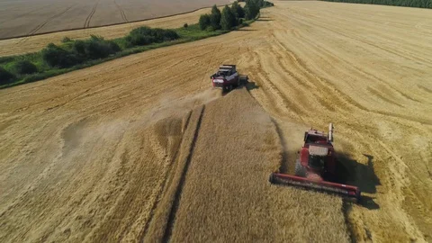Agricultural work in the fields of Ivanovo region Stock Footage 101970689