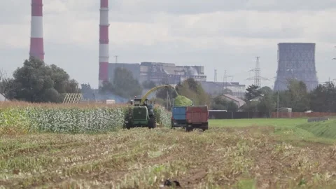 Agricultural work Stock Footage 145800310