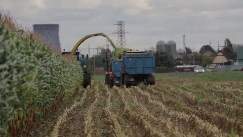 Agricultural work Stock Footage 145800396