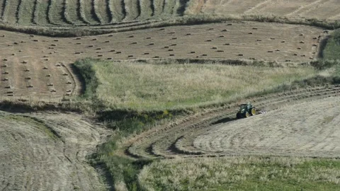 Agricultural work of hay Stock Footage 196294726