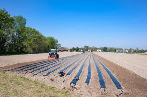 Agricultural work Stock Photos
