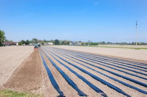 Agricultural work Stock Photos
