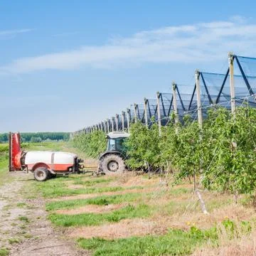 Agricultural work. Stock Photos