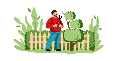 Agricultural worker cutting tree. Man decorative trimming branches with Stock Illustration