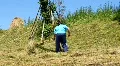 Agricultural worker HD Footage
