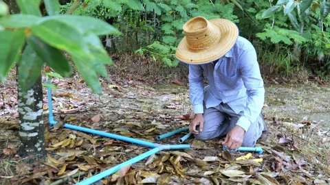 Agricultural worker installing PVC pipe connections for an orchard sprinkler sys Видео 347795832