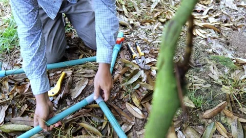 Agricultural worker installing PVC pipe connections for an orchard sprinkler sys Vídeo Stock 347795850