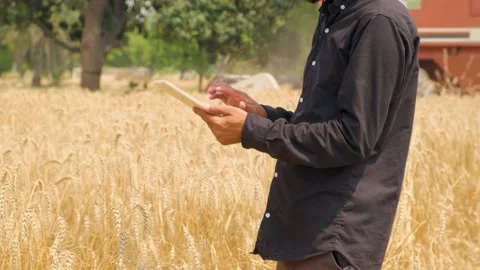 Agricultural Worker Using Digital Technology During Crop Harvest Stock Footage 246474898
