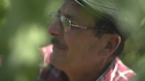 Agricultural workers Stock Footage 336009828